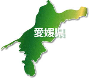 愛媛県 パソコン修理やデータ復旧