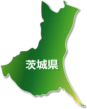 茨城県 レコード パソコン修理やデータ復旧